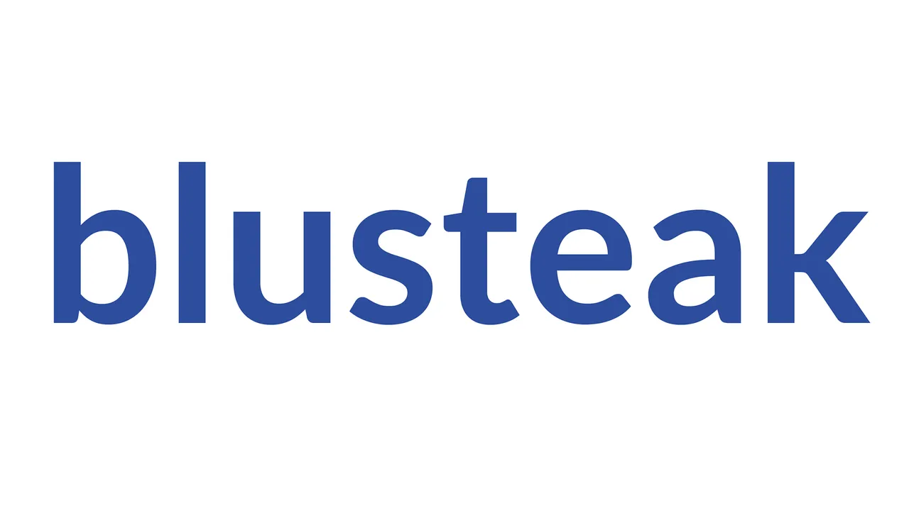 Need good ROAS & Organic Social Media growth? Learn from Blusteak Media's digital marketing efforts