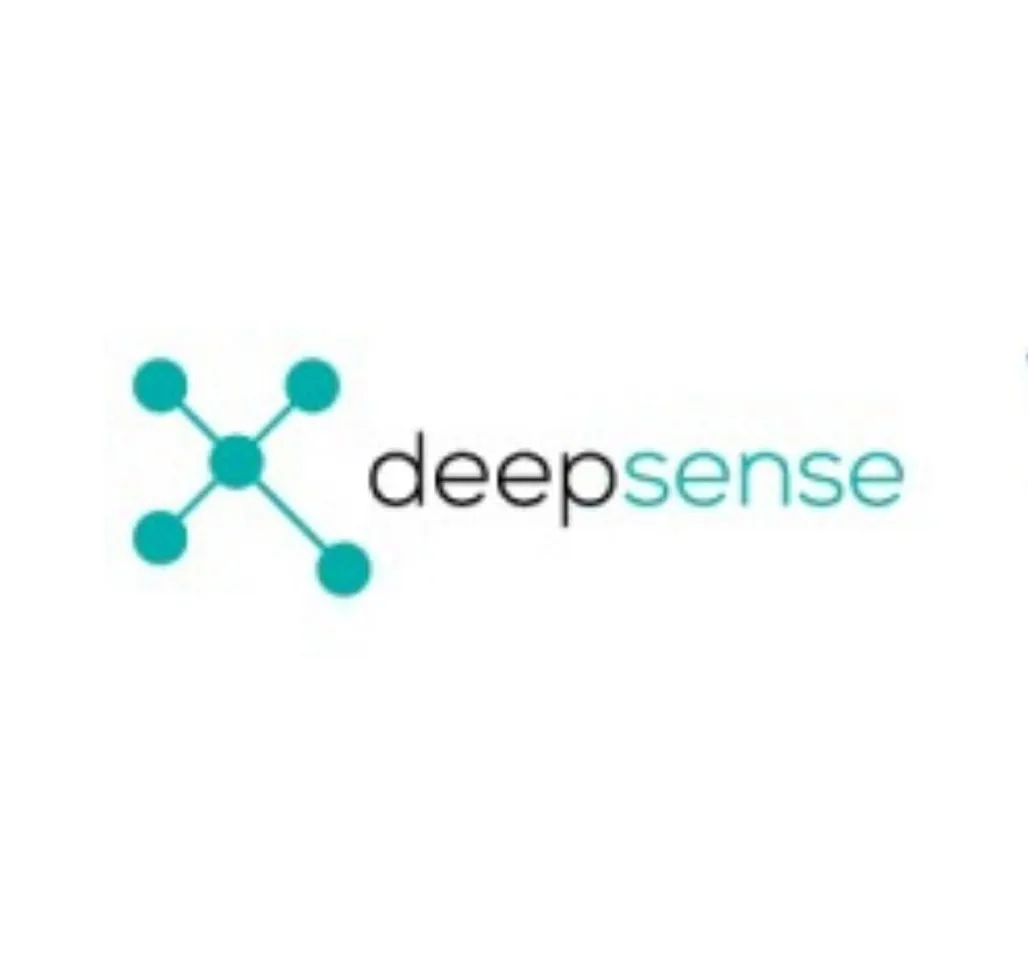 Deepsense Digital steps into Metaverse World