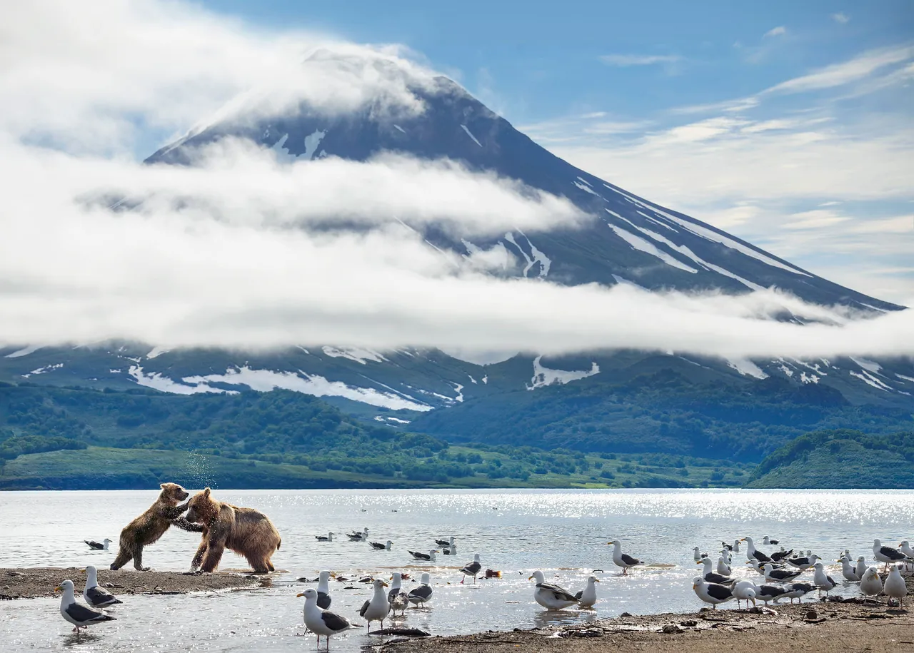 Sony BBC Earth to premiere 'A Perfect Planet'