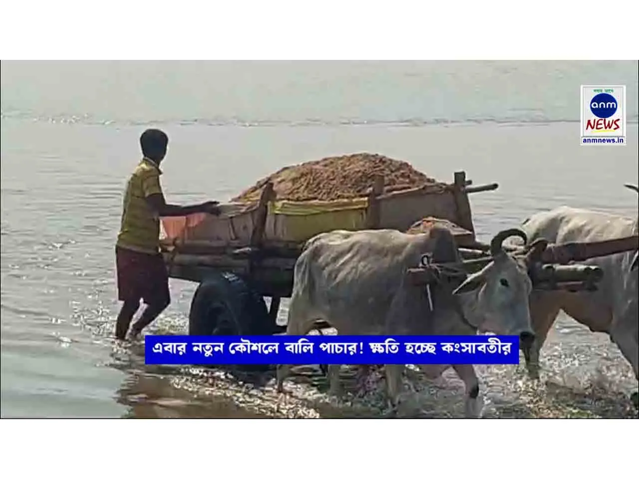 WhatsApp Image 2025-03-11 at 6.13.36 PM
