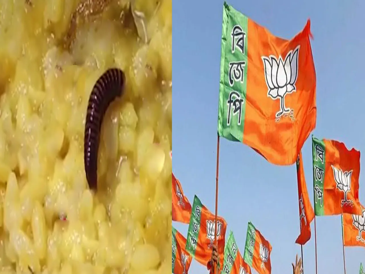বাংলার অভুক্ত পোকামাকড়রাও খাচ্ছে মিড ডে মিল! কটাক্ষ BJP-র