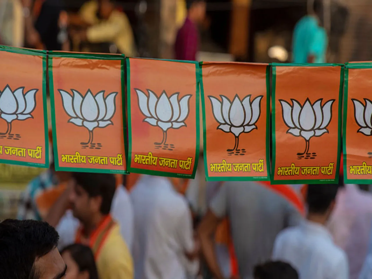 BJP WHEEP.jpg