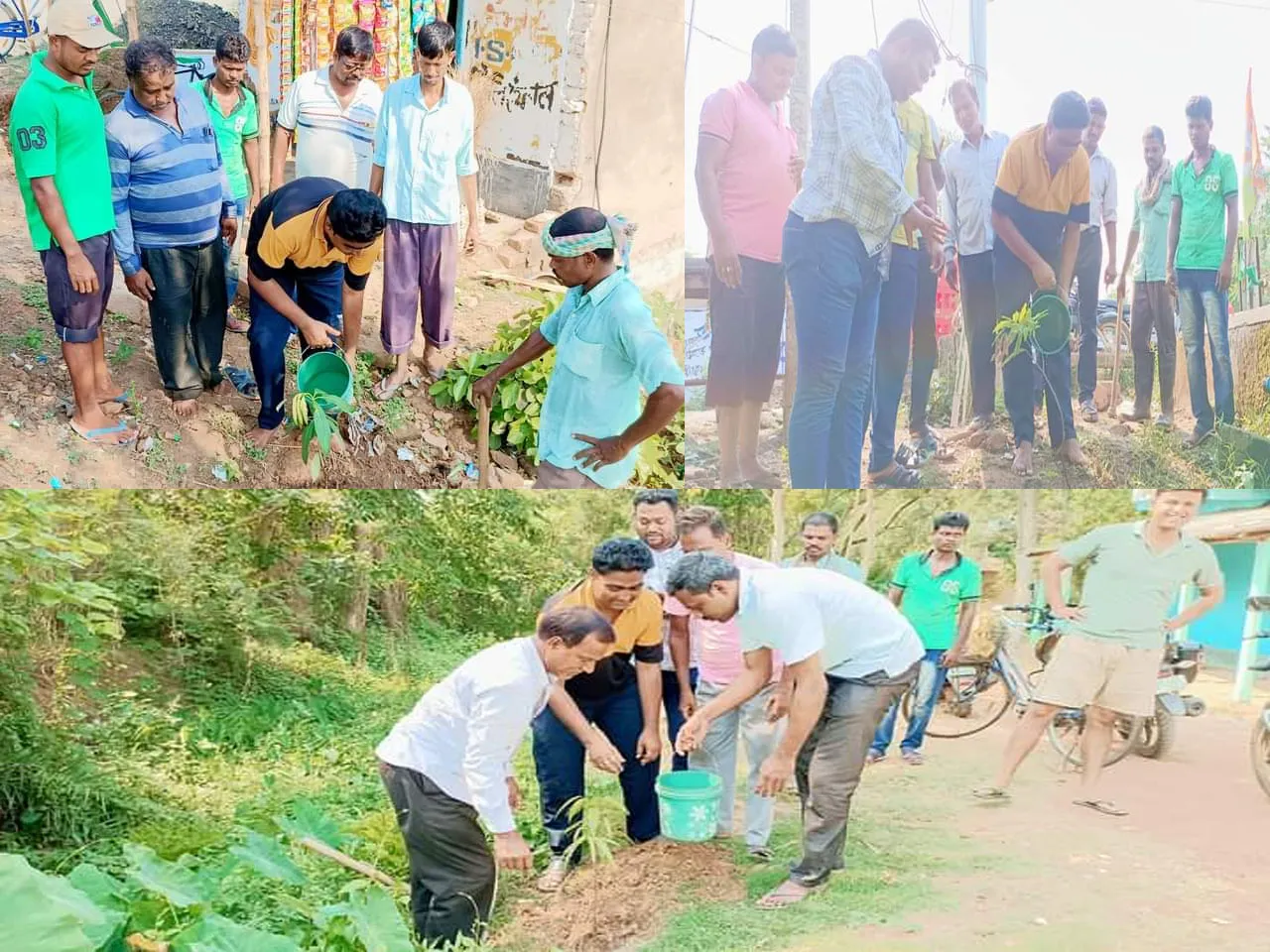 World Environment Day : দিনভর বৃক্ষ রোপণের কর্মসূচি যুব তৃণমূলের