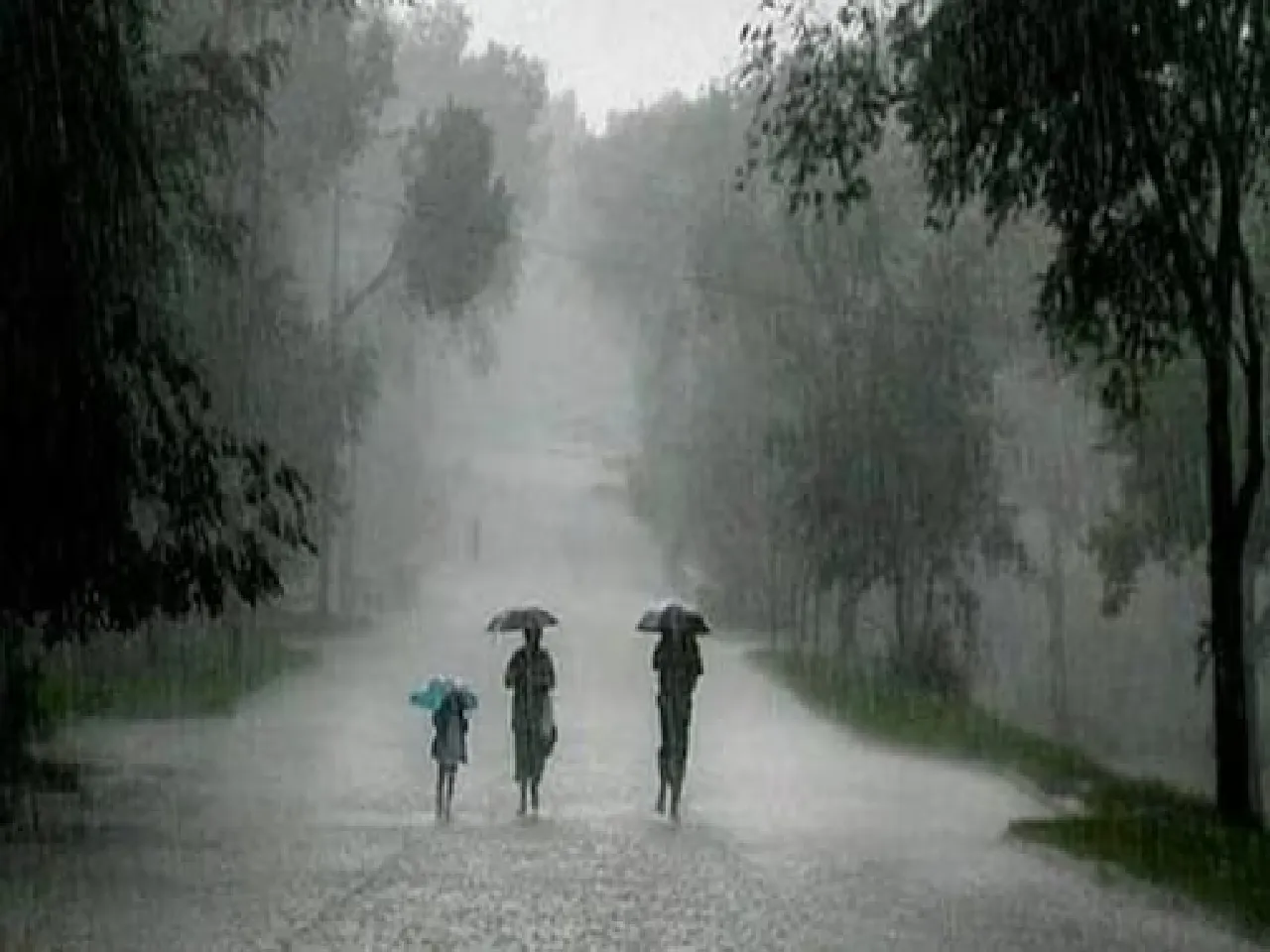 আজ সারাদিন সারারাত চলবে বৃষ্টি- হবে ঝড়