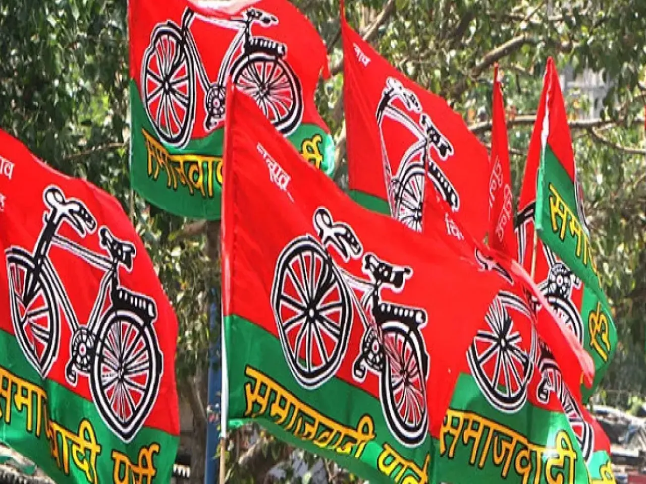 নজরে লোকসভা! বদলের অপেক্ষায় সমাজবাদী পার্টি