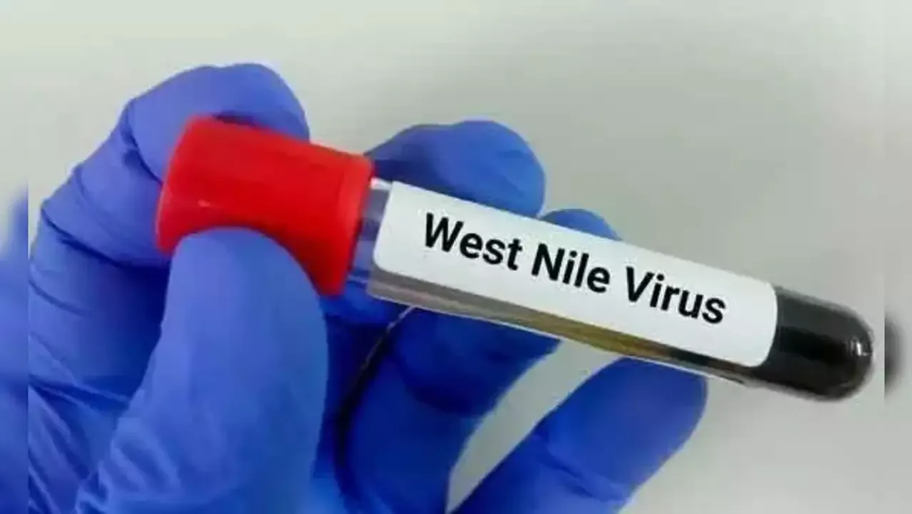 West Nile Fever.webp