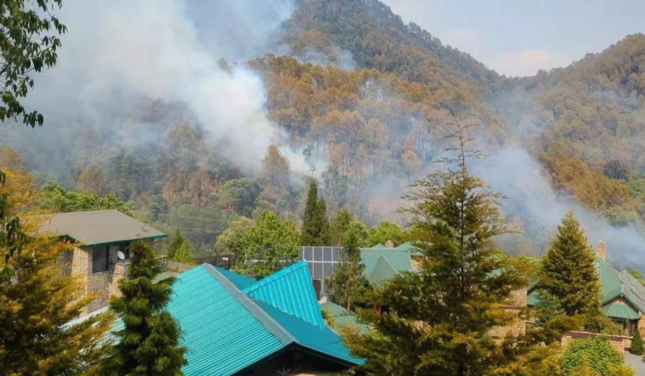 dehradun forest fire.jpg
