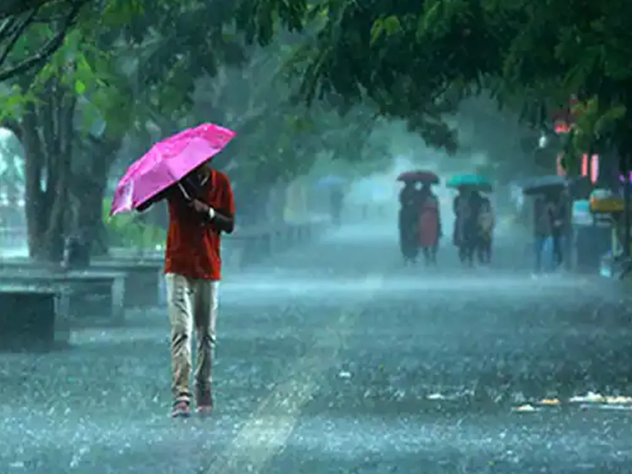 Rain Update: কমলা সতর্কতা! এই রাজ্য এবার ভাসবে বৃষ্টিতে