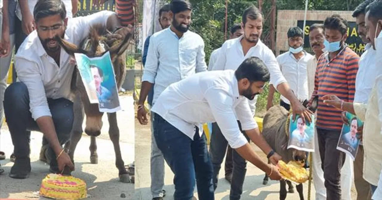 গাধা চুরির অভিযোগে গ্রেফতার কংগ্রেস নেতা