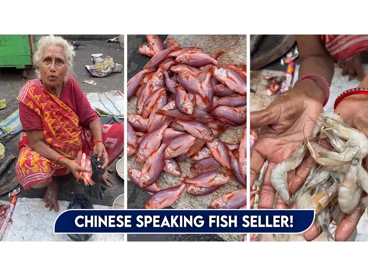 Chinese speaking fish seller!