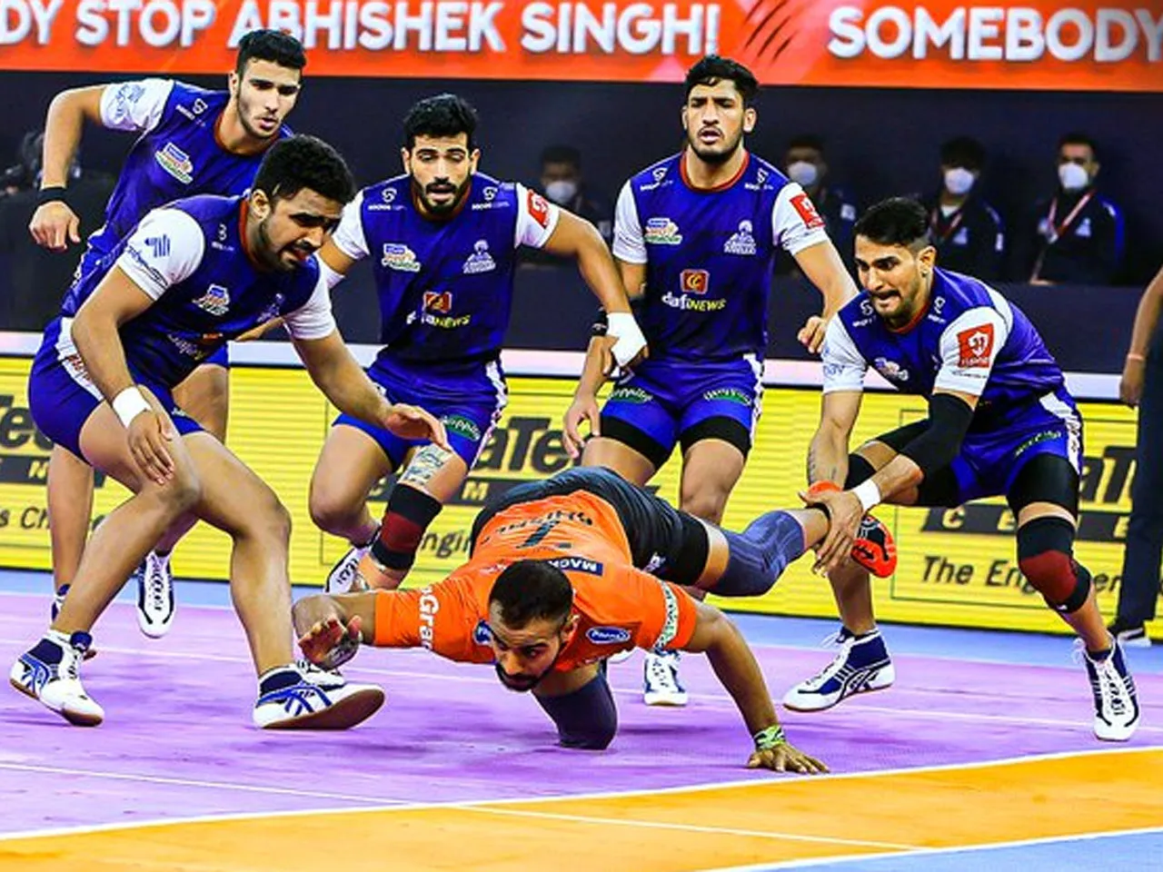 Do you know how the performance of Haryana Steelers in Pro Kabaddi League?