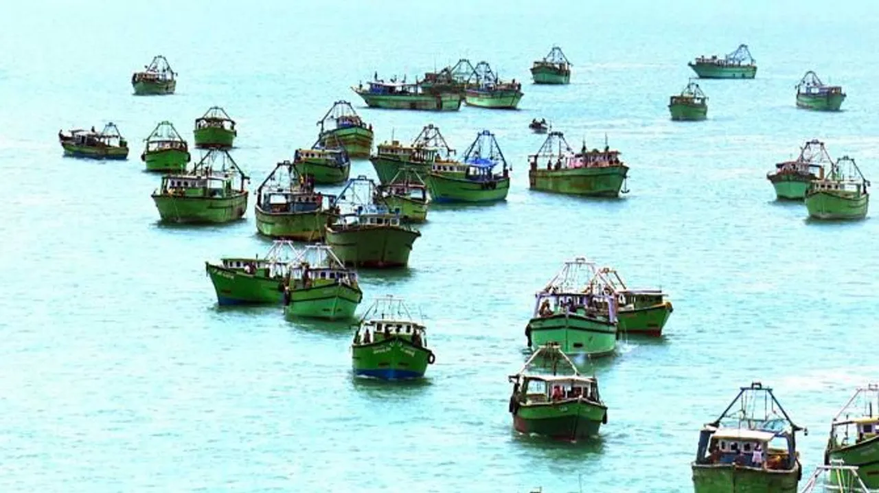 boats