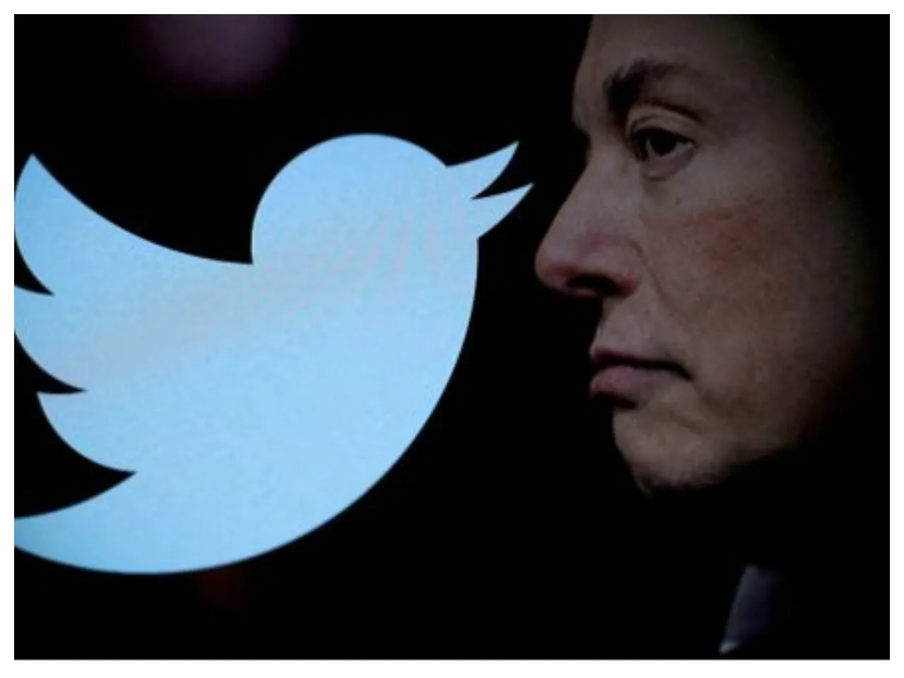 Ellen Musk quits Twitter!