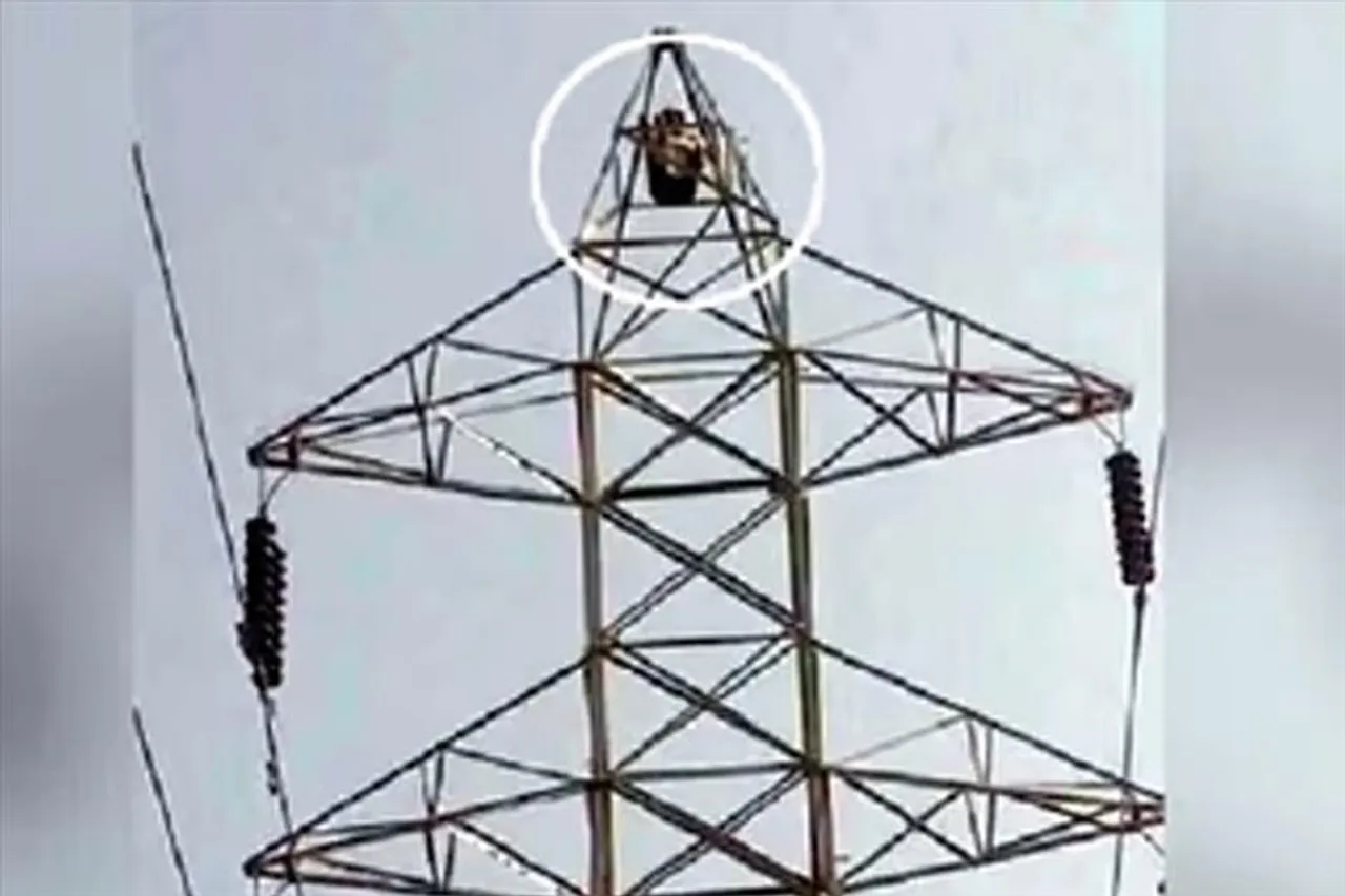19-year-old climbs power tower