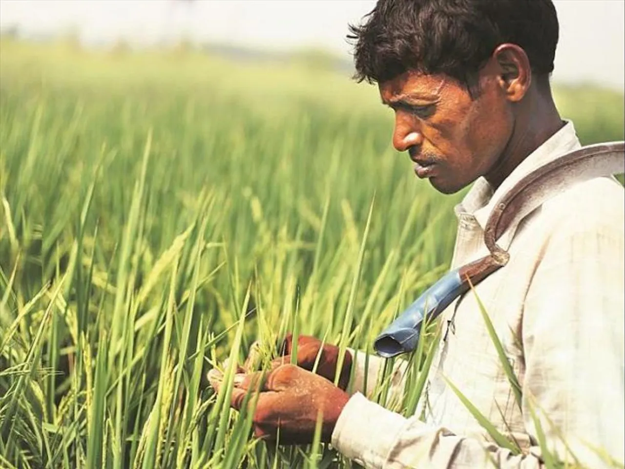 West Bengal to link-up farm and  industry