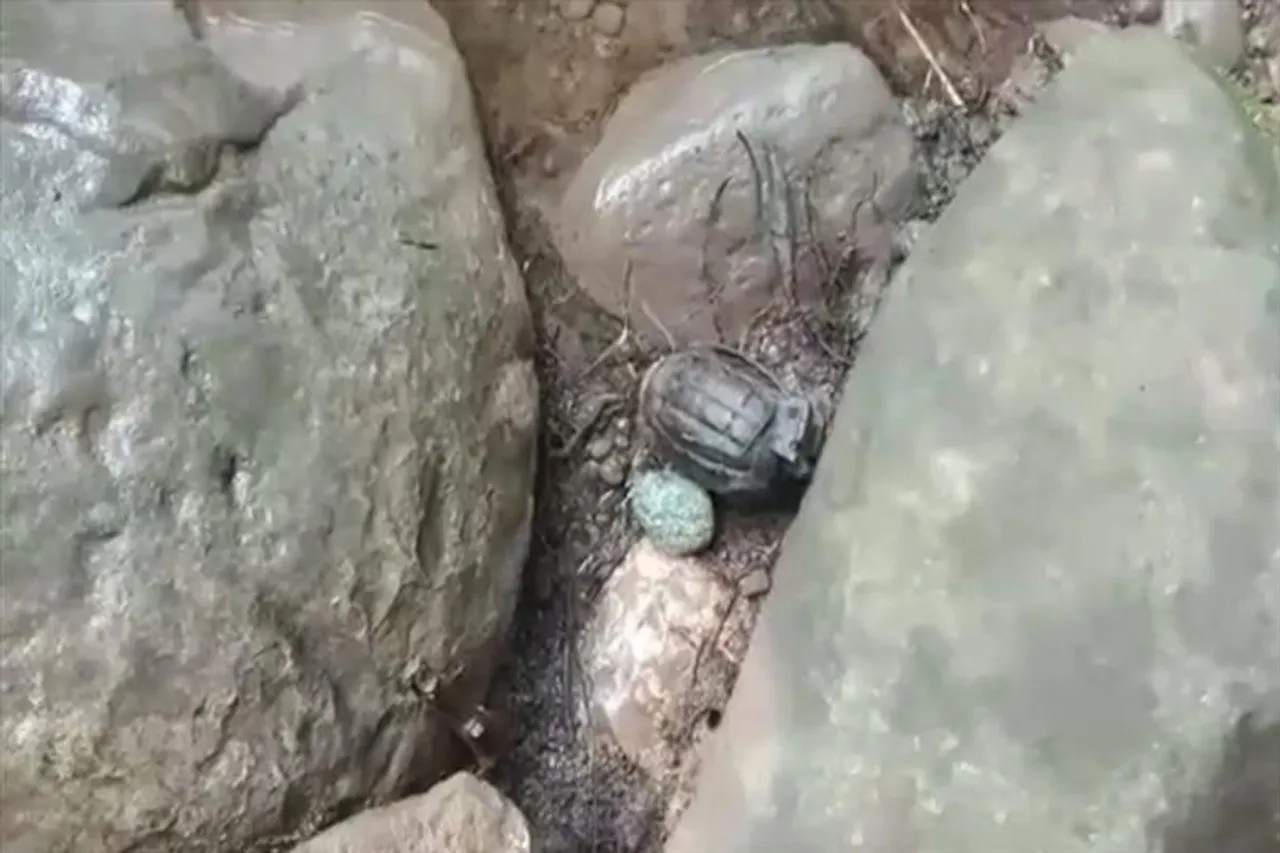 Grenade recovered from Surankot