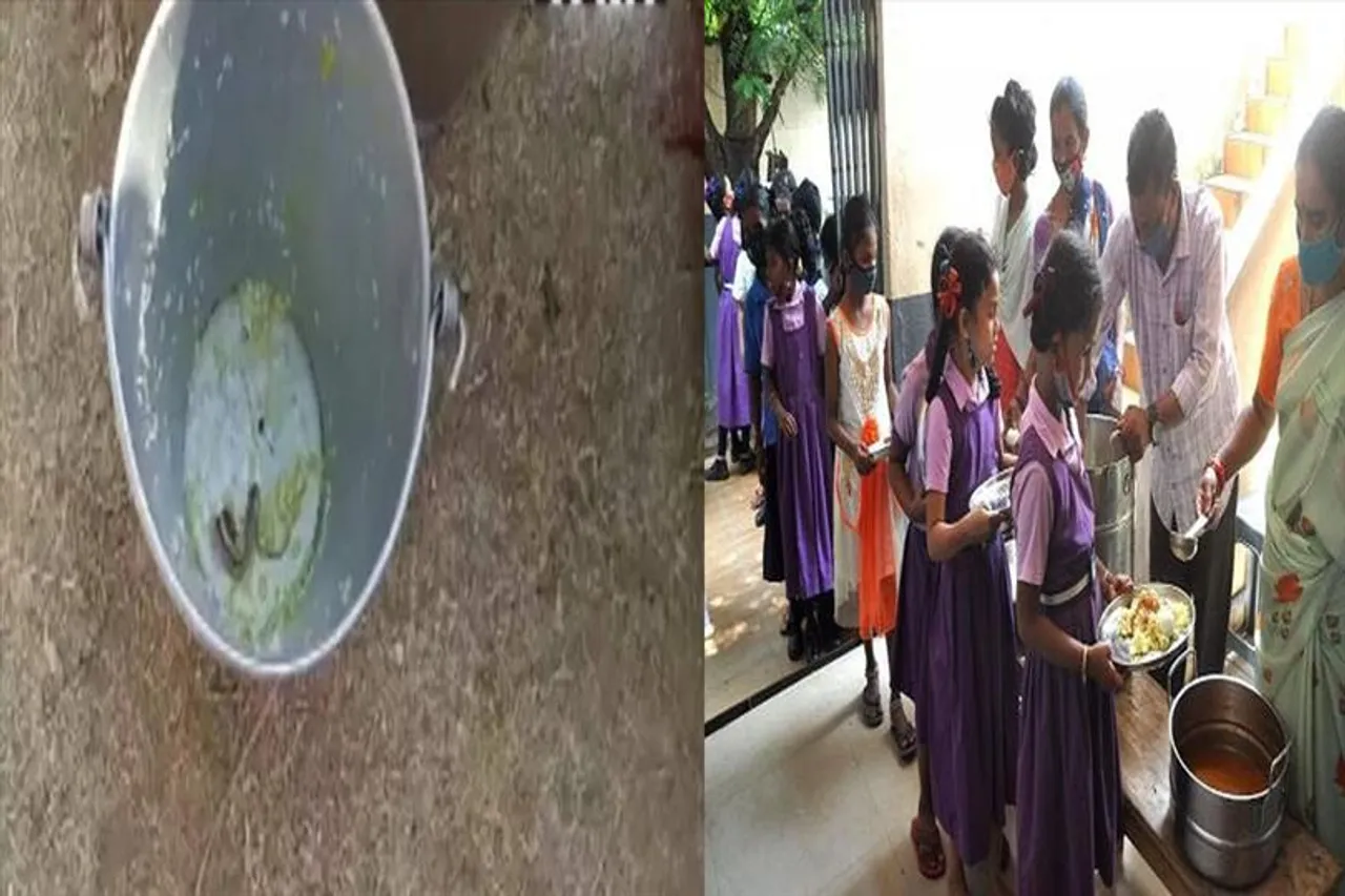 Snake-Rat-Lizard found at Mid day meal! The central team is coming to the WB for review