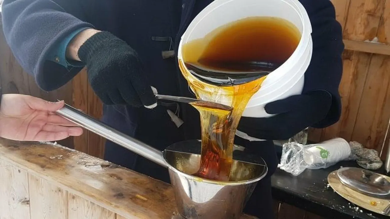 MAPLE SYRUP industry has become an international focus