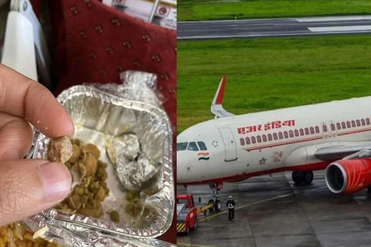 Stone pieces in Air India flight food