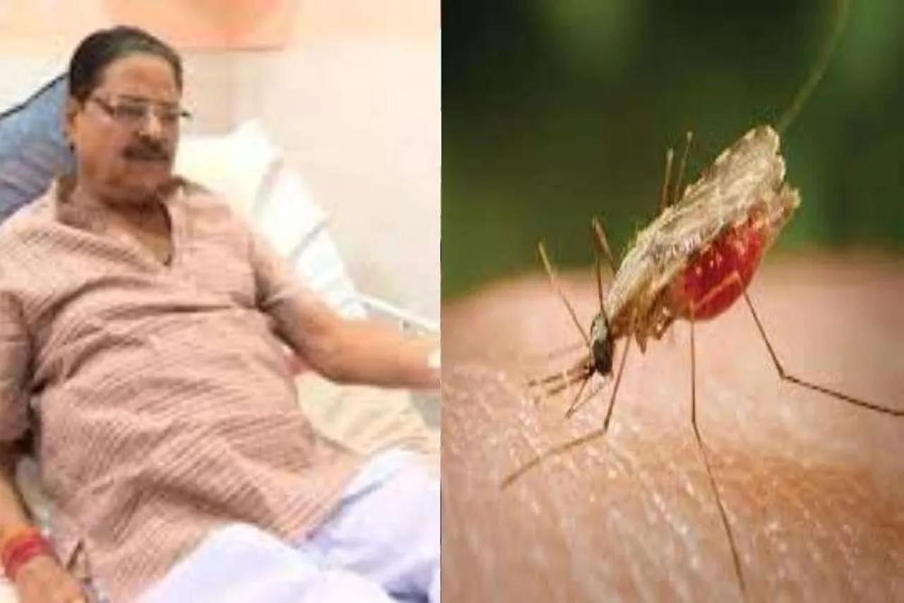 This time Malaria is raising fear in Kolkata, TMC councilor is affected