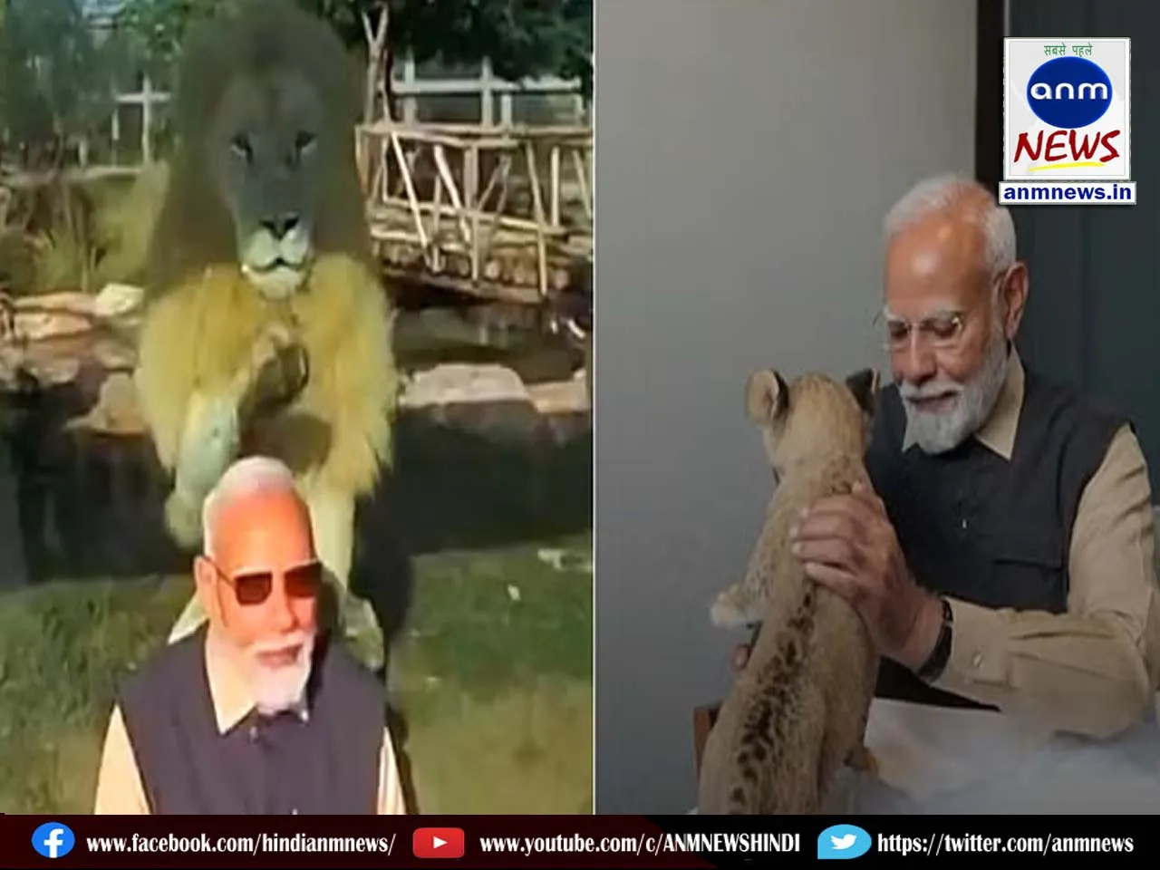 modi