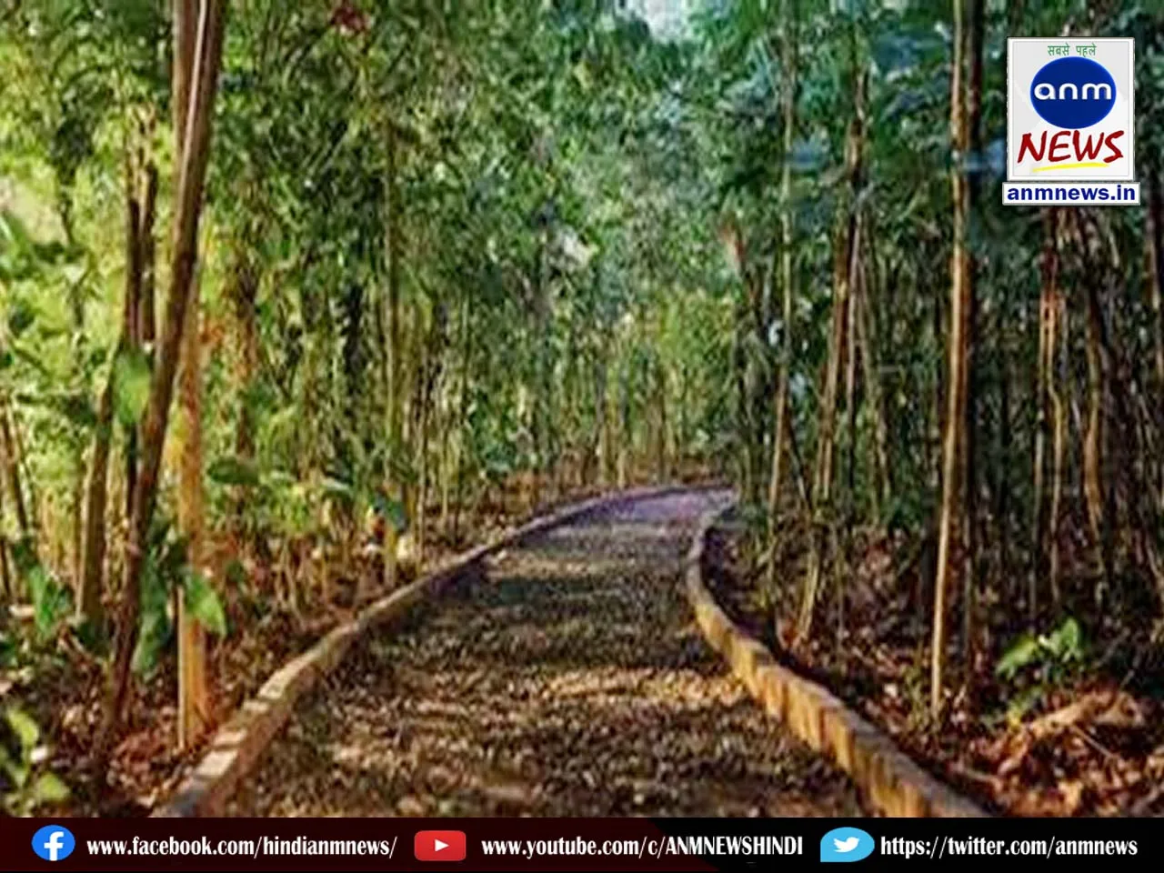 Karnataka government will take back forest land from Air Force