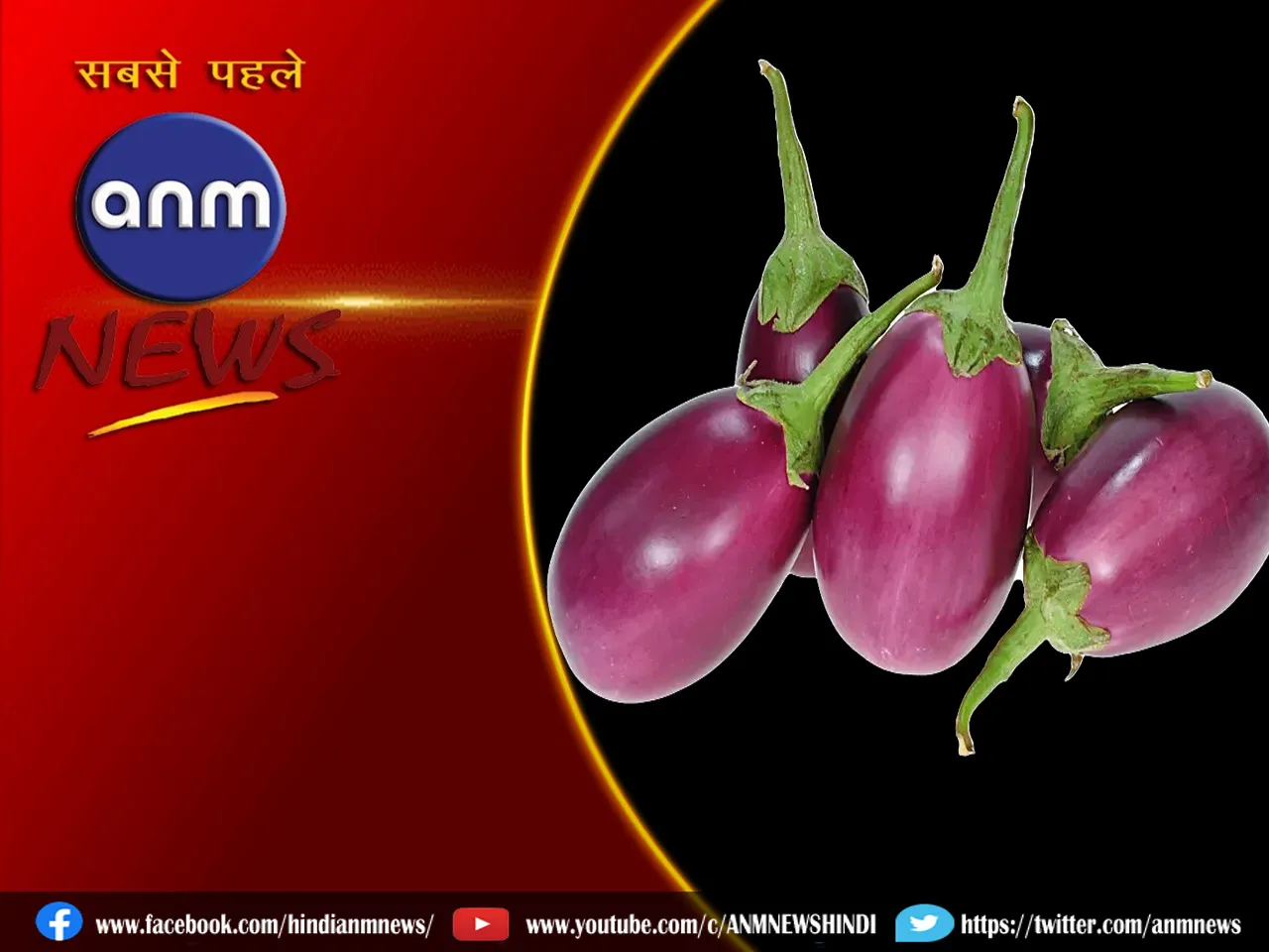 brinjal.