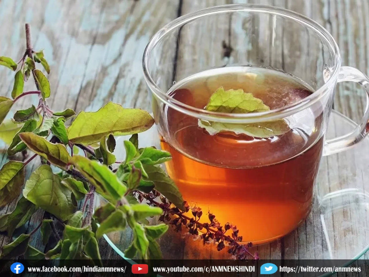 Lifestyle: खांसी-जुकाम और गले की खराश दूर करने के लिए तुलसी की चाय