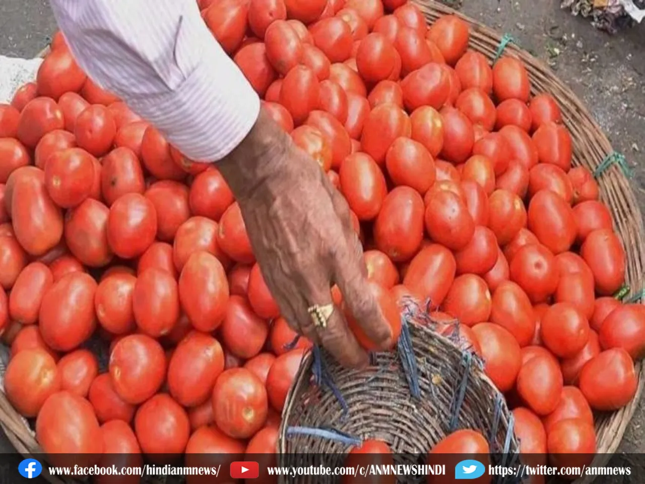Price of tomato