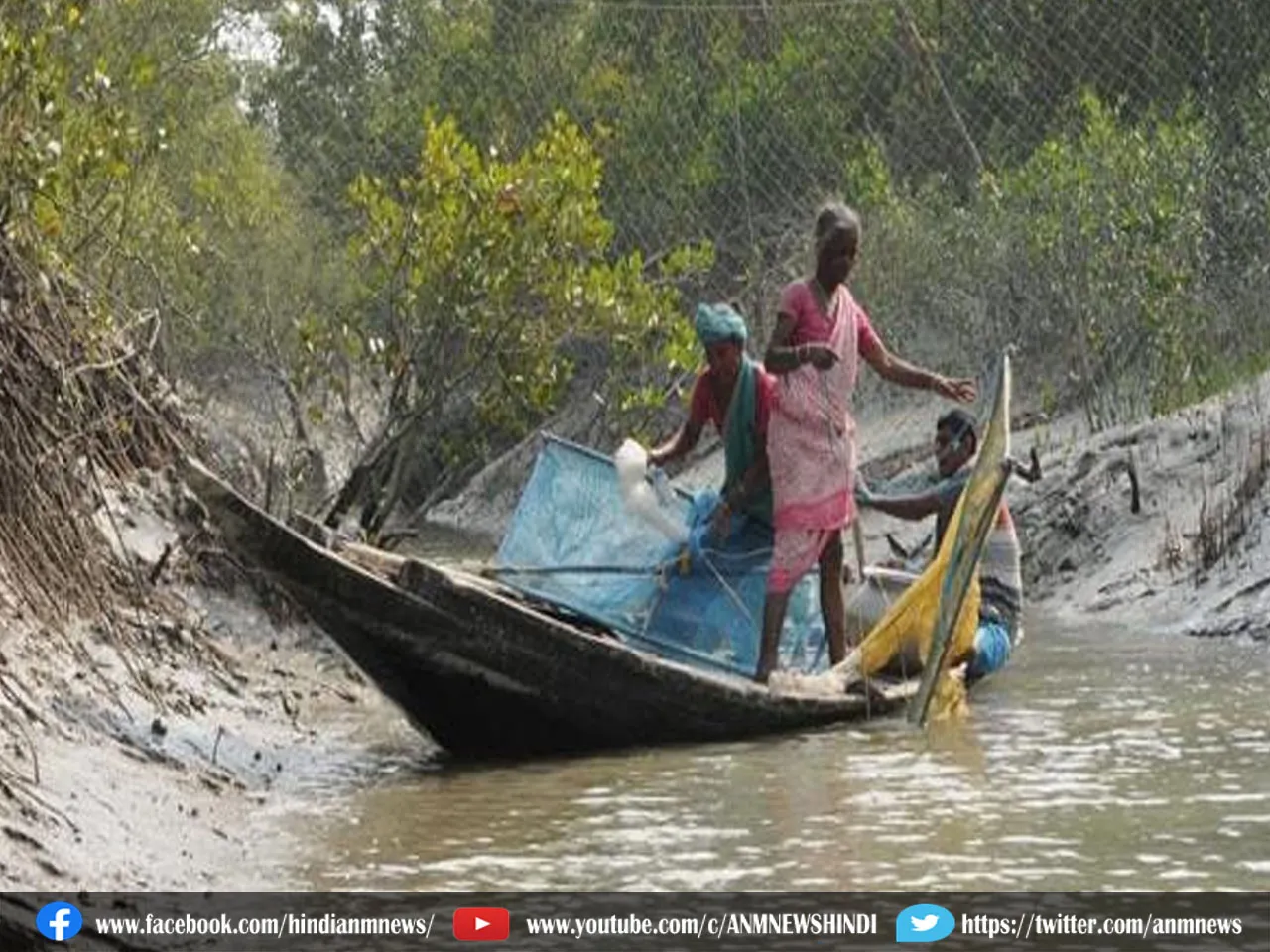 Sundarbans: सुंदरवन में दहाड़ते अज्ञात जानवर के पैरों के निशान, दहशत में ग्रामीण