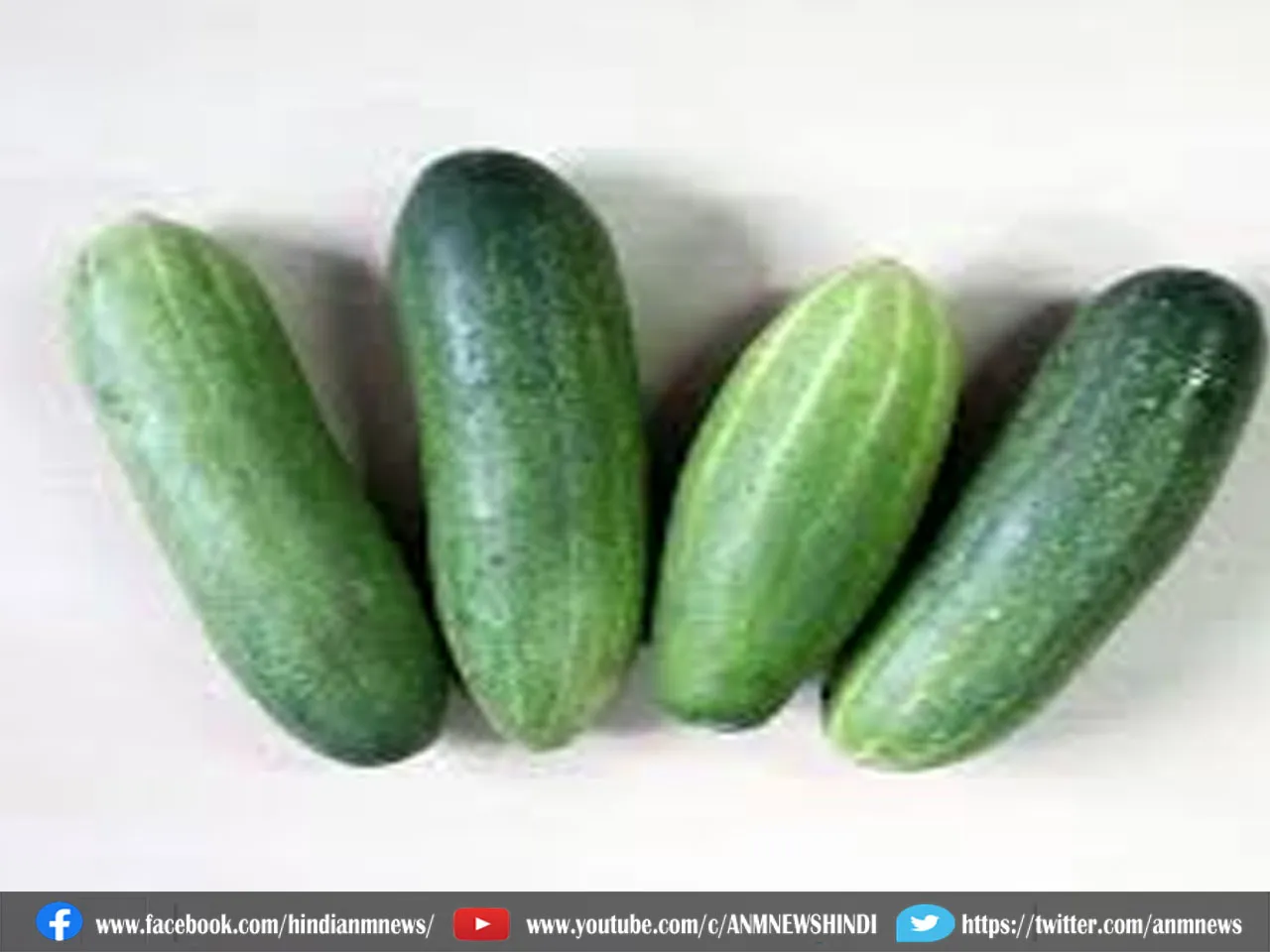 cucumber food