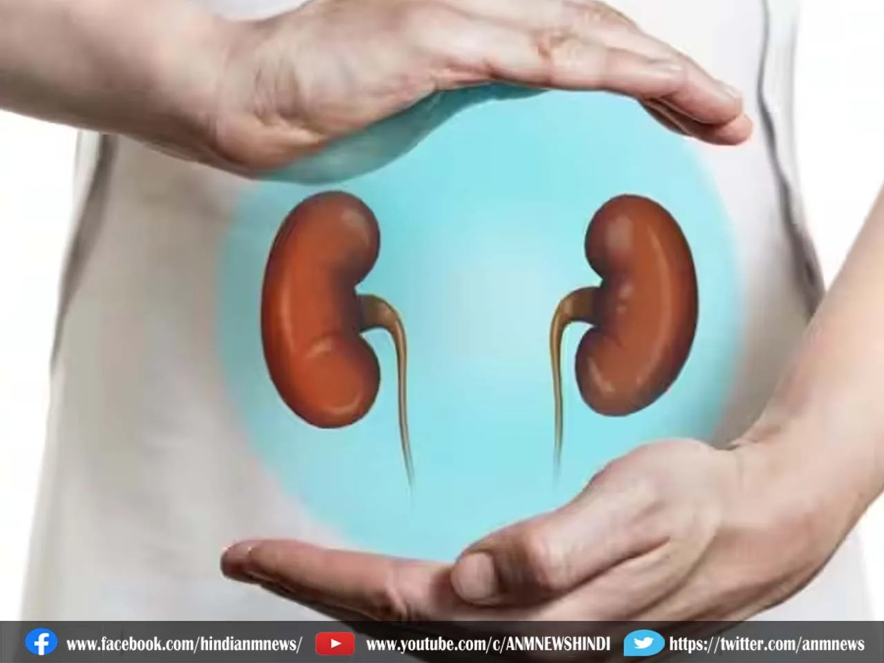 kidney healthy