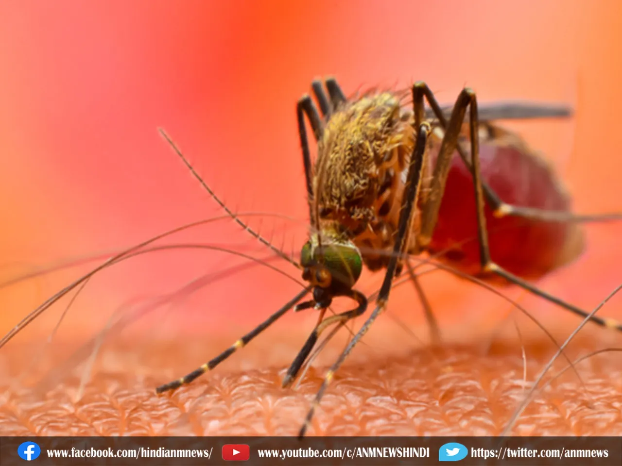 Kolkata : डेंगू, मलेरिया की रोकथाम के लिए जागरूकता अभियान