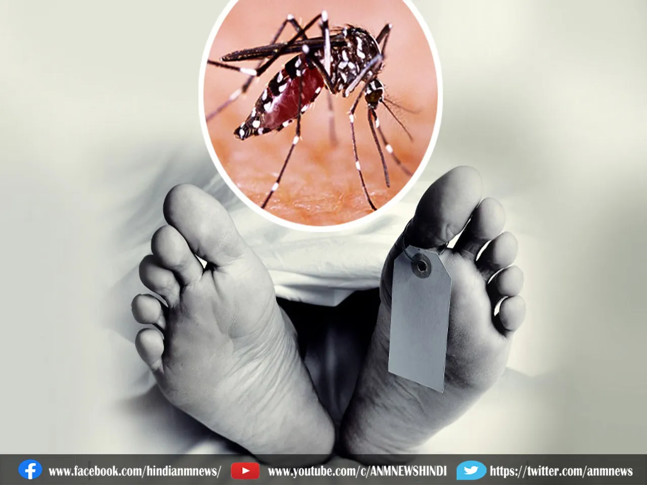 Dengue Death: डेंगू बढ़ा रहा चिंता, कोलकाता में फिर चार लोगों की मौत