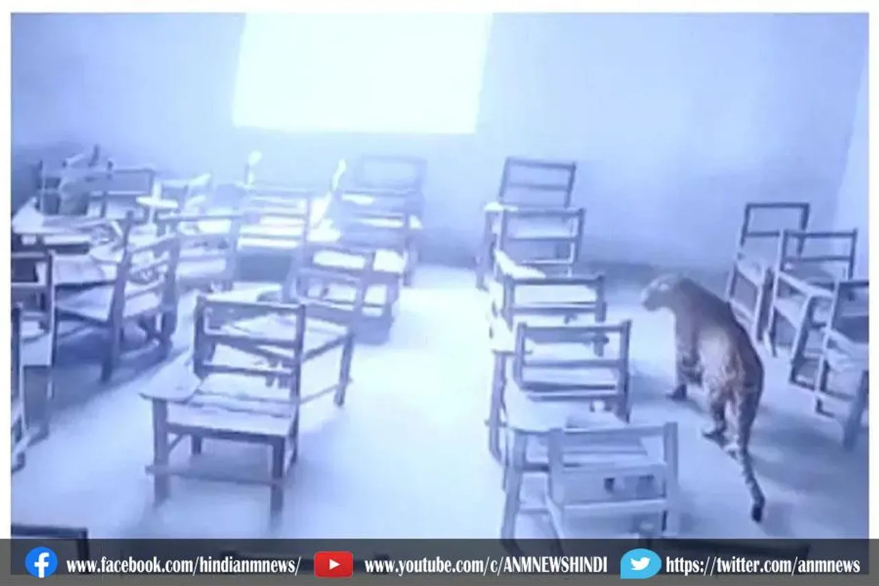 कॉलेज में घुसते ही तेंदुए ने किया छात्र पर किया हमला, देखे वीडियो