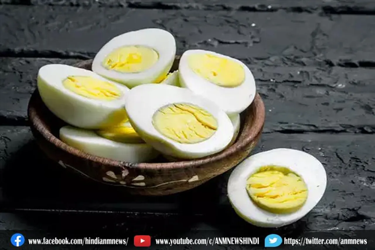ज़्यादा अंडे खाने के नुकसान