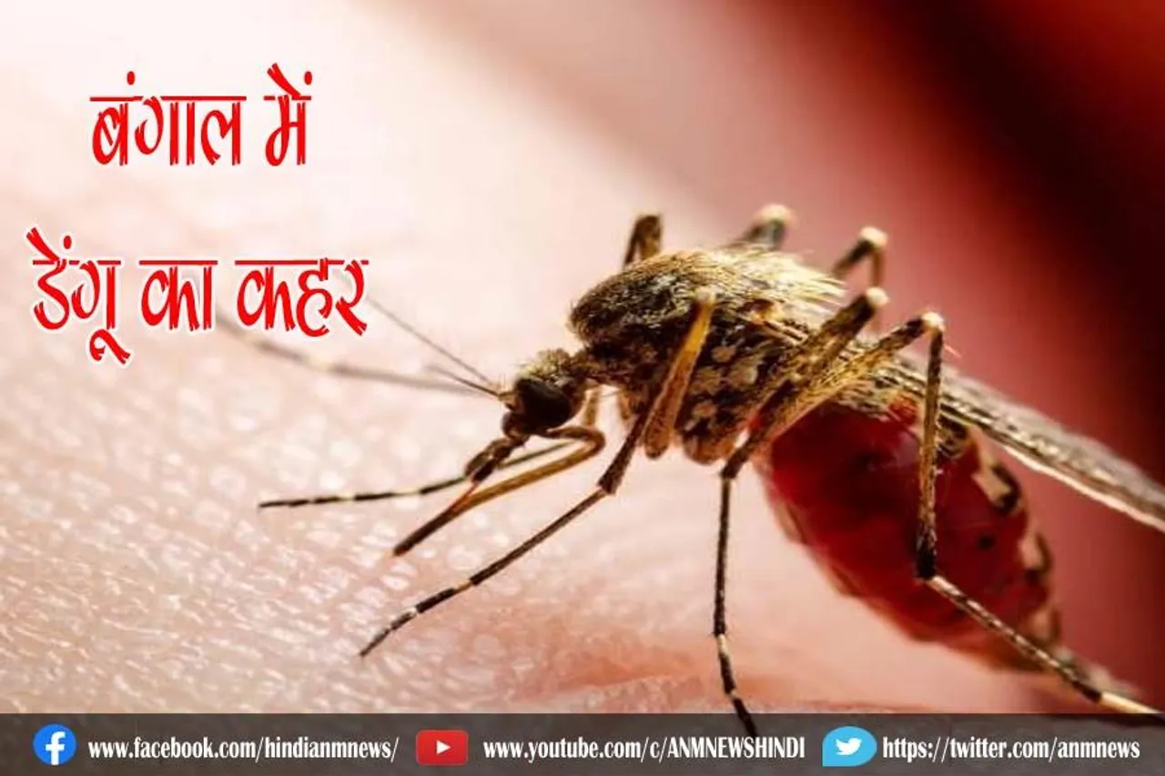 बंगाल में बढ़े डेंगू का कहर