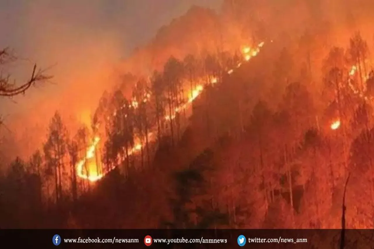 उत्तरी कैलिफोर्निया में अग्निशामकों ने जंगल की आग से 65 प्रतिशत पर काबू पा लिया