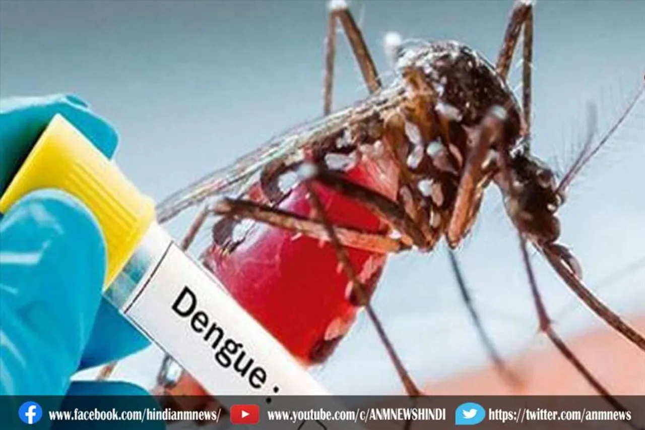 राजस्थान: कल से चलेगा डेंगू मुक्त अभियान