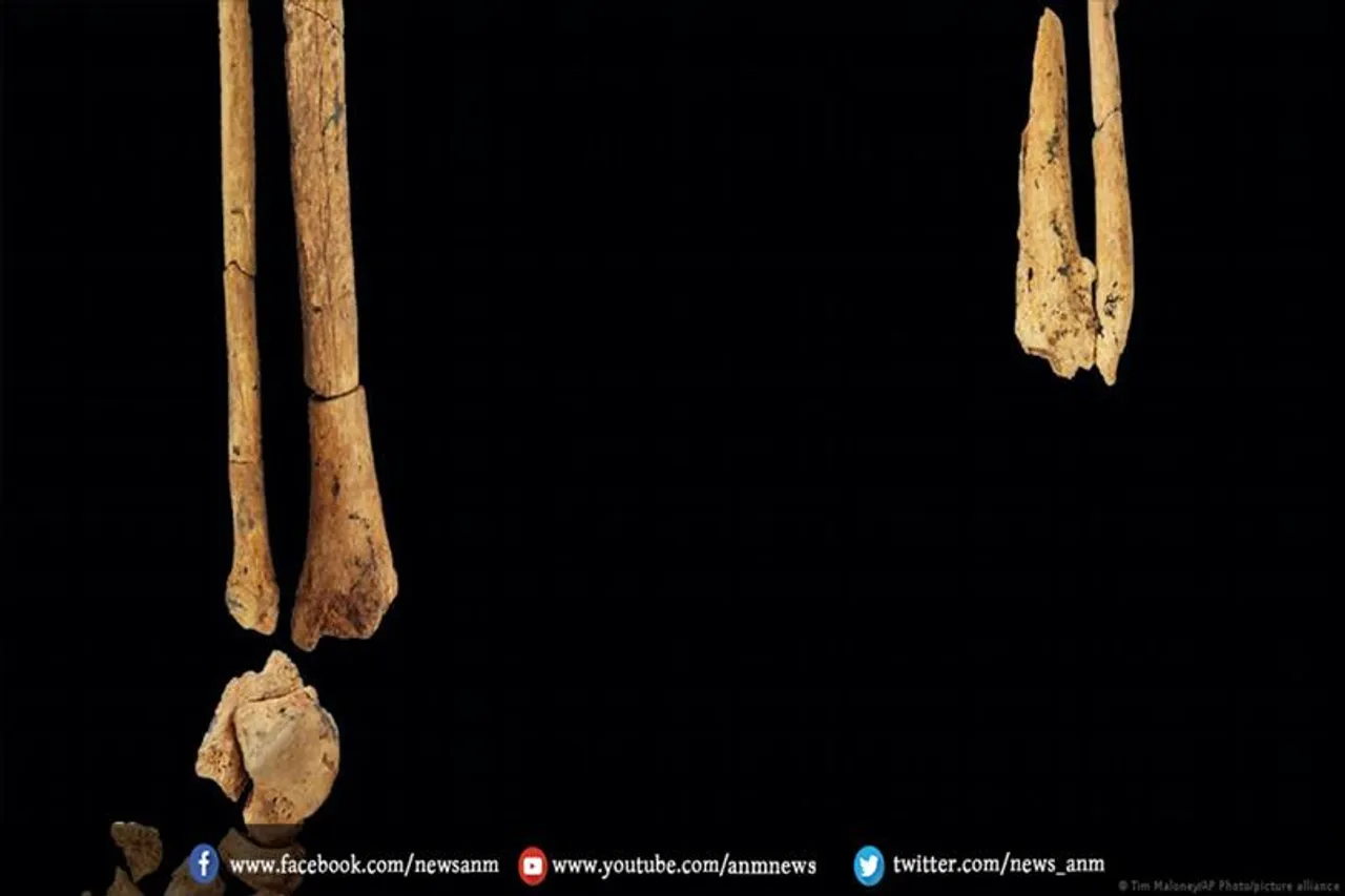 31,000 साल पहले प्रमाण मिले विच्छेदन सर्जरी की