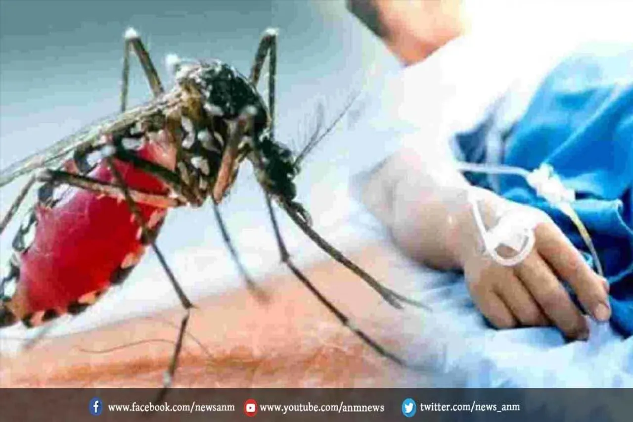 कोलकाता : डेंगू ने बढ़ाई चिंता