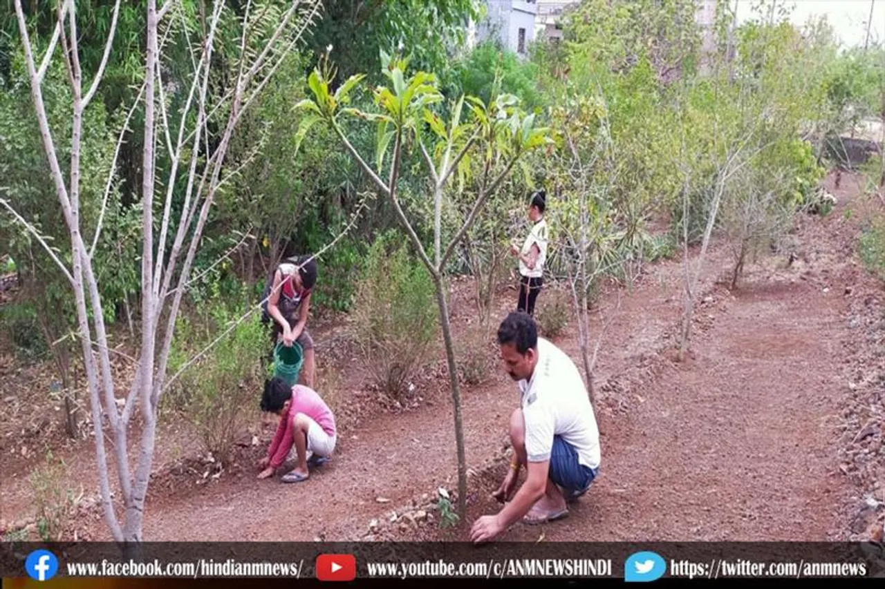 घर में भूलकर भी नहीं लगाना चाहिए ये पेड़-पौधे