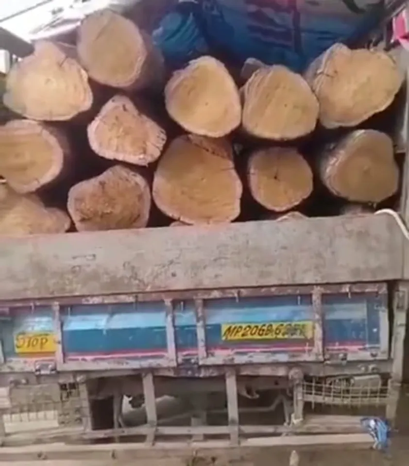 Forest department caught a mini truck filled with teak