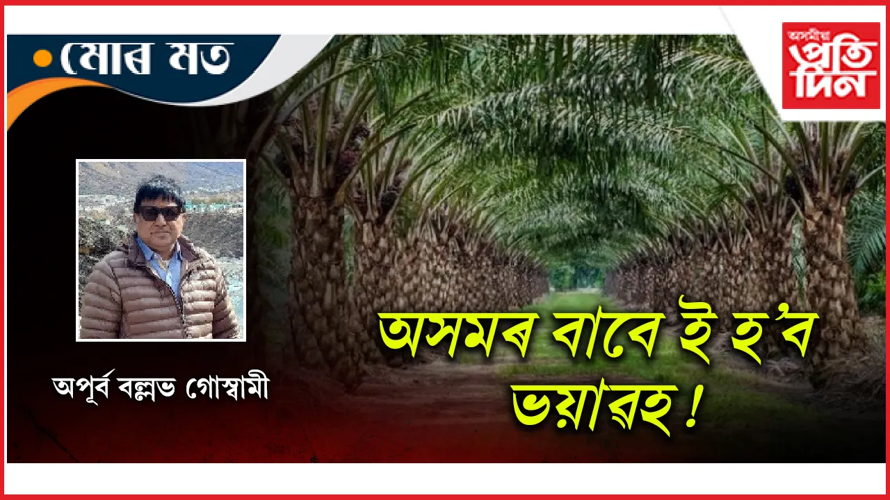 পাম অইল