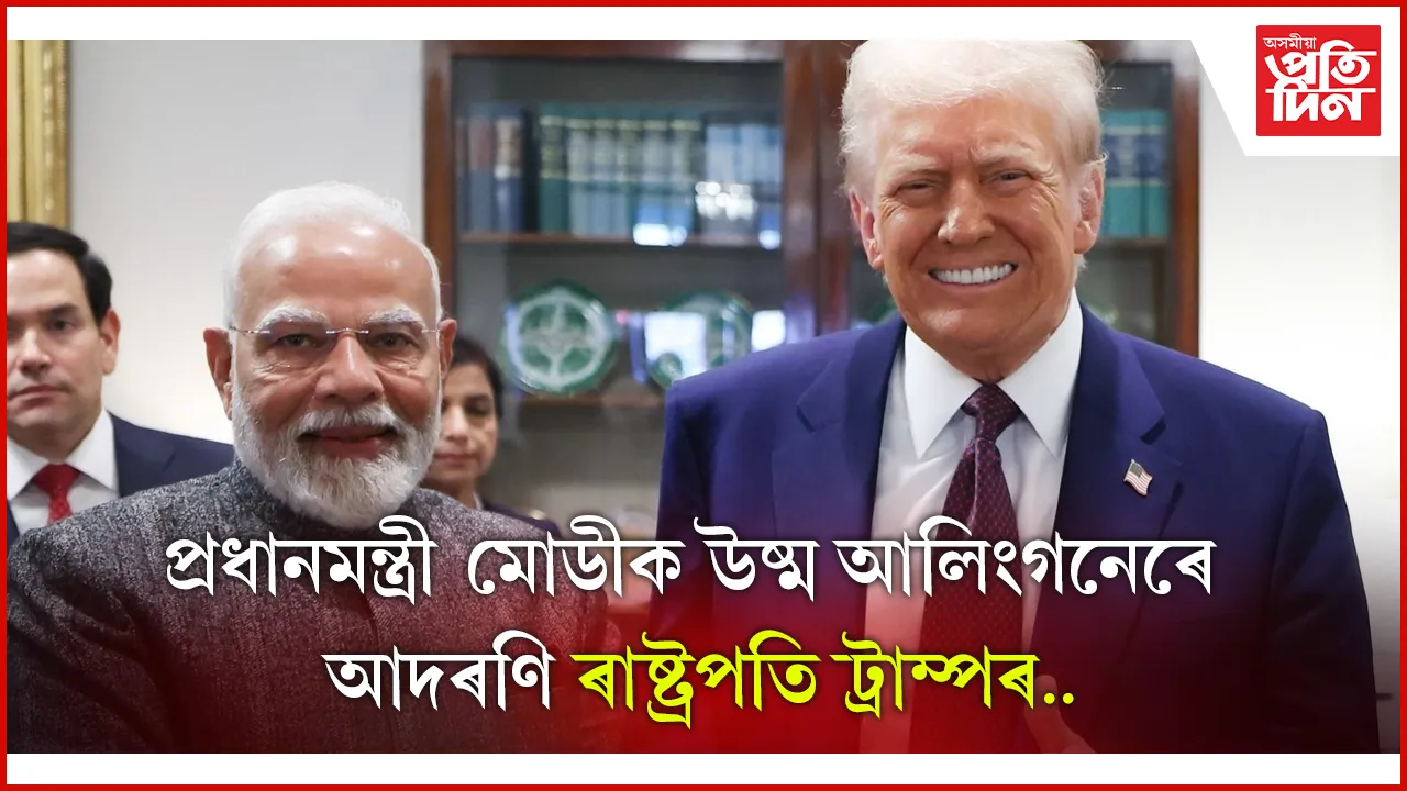 িপিপপ