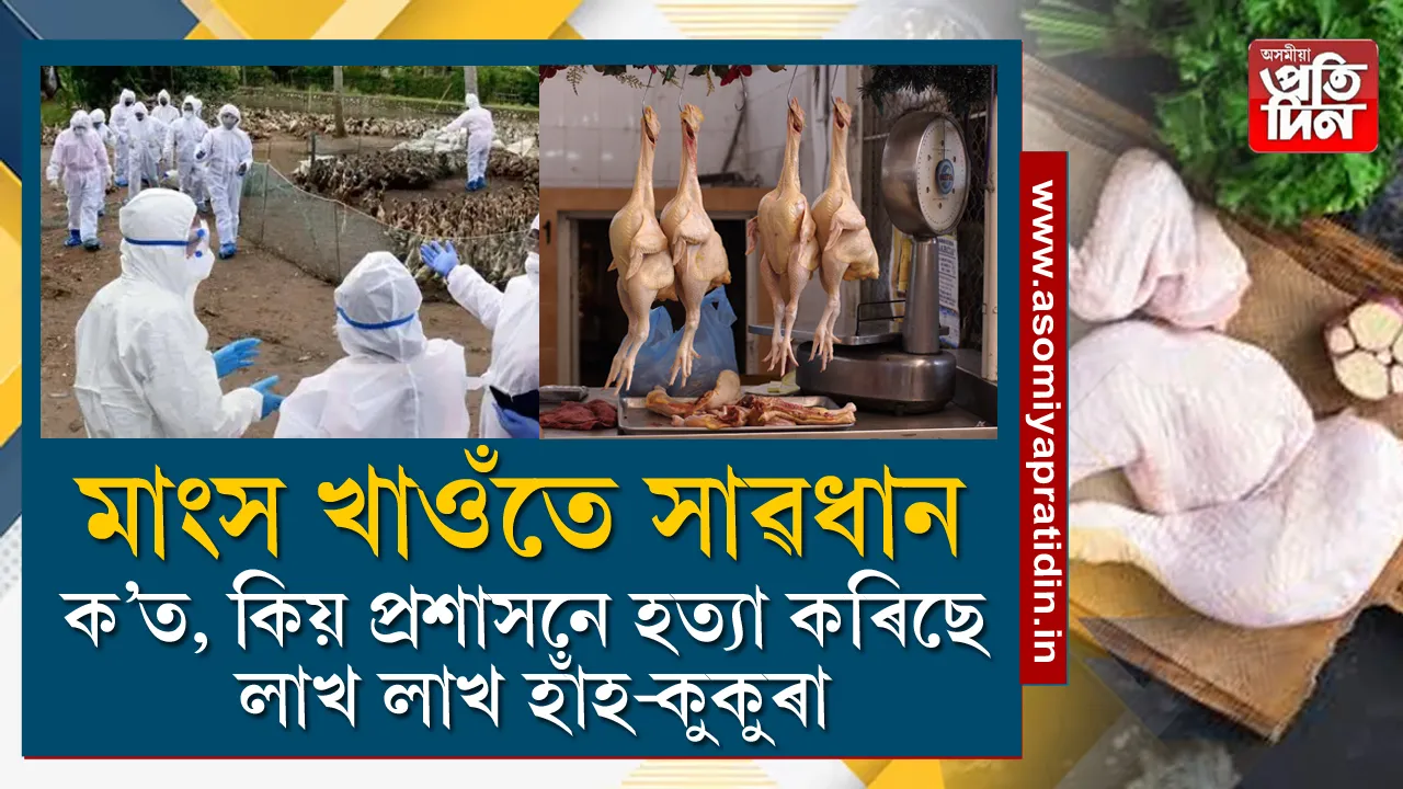 বাৰ্ডফ্লু