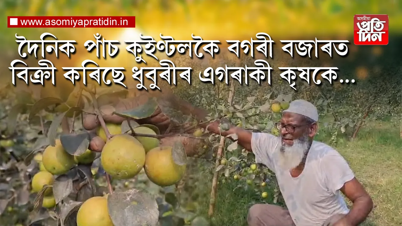 বিলাতী বগৰী