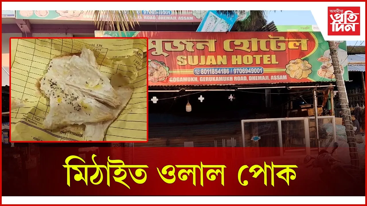 মিঠাইত ওলাল পোক
