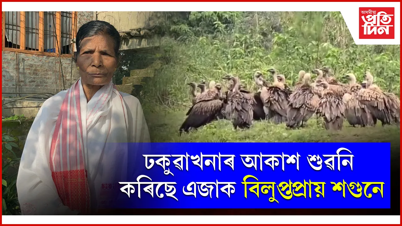 ঢকুৱাখনাত শগুণ সংৰক্ষণত ব্ৰতী এগৰাকী মহিলা