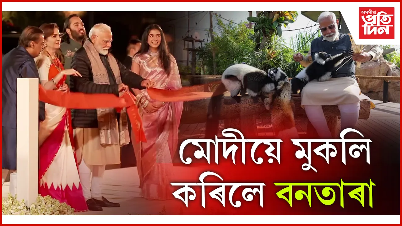 মোদীয়ে মুকলি কৰিলে বনতাৰা